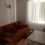 Apartman Lucic C