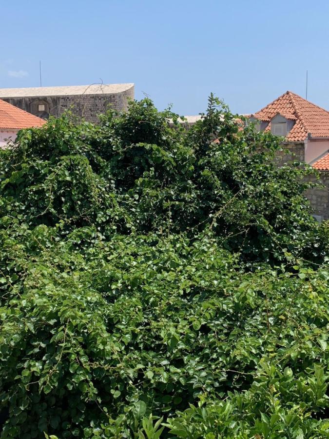 Apartman Lucic C *
